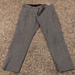 Women’s dress pants